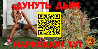 мдпв Донской