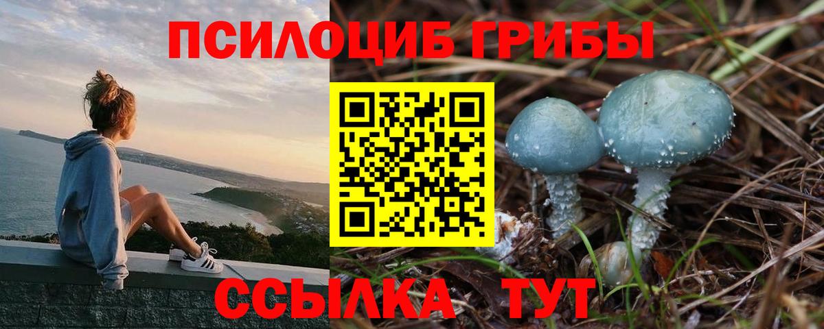 Псилоцибиновые грибы прущие грибы Магадан