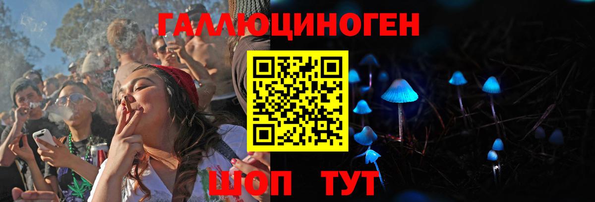 Магадан  Псилоцибиновые грибы GOLDEN TEACHER  Вход с VPN 
